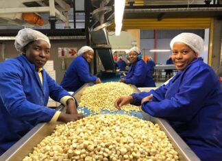 Philip Moufarrige conquiert l’Afrique du Sud avec Ambermacs Philip Moufarrige conquiert l’Afrique du Sud avec Ambermacs