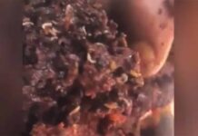 Extrait de la vidéo diffusée par la page facebook des FSI montrant la nourriture avariée