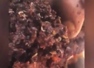 Les Forces de Sécurité saisissent un important stock de nourriture avariée Extrait de la vidéo diffusée par la page facebook des FSI montrant la nourriture avariée