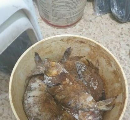 Une partie de la nourriture avariée saisie. Source Photo: Facebook