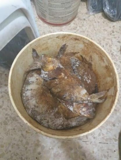 Une partie de la nourriture avariée saisie. Source Photo: Facebook