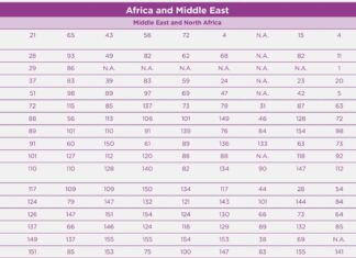 Capture d'écran du classement pour les Pays Arabes et Nord Africains.