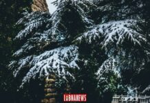 Les Caprices de la Météo au Liban: Un Week-end de Contrastes