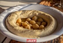 Un plant de Hommos Libanais. Crédit Photo: François el Bacha pour Libnanews.com. Tous droits réservés