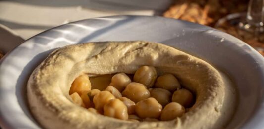 Un plant de Hommos Libanais. Crédit Photo: François el Bacha pour Libnanews.com. Tous droits réservés