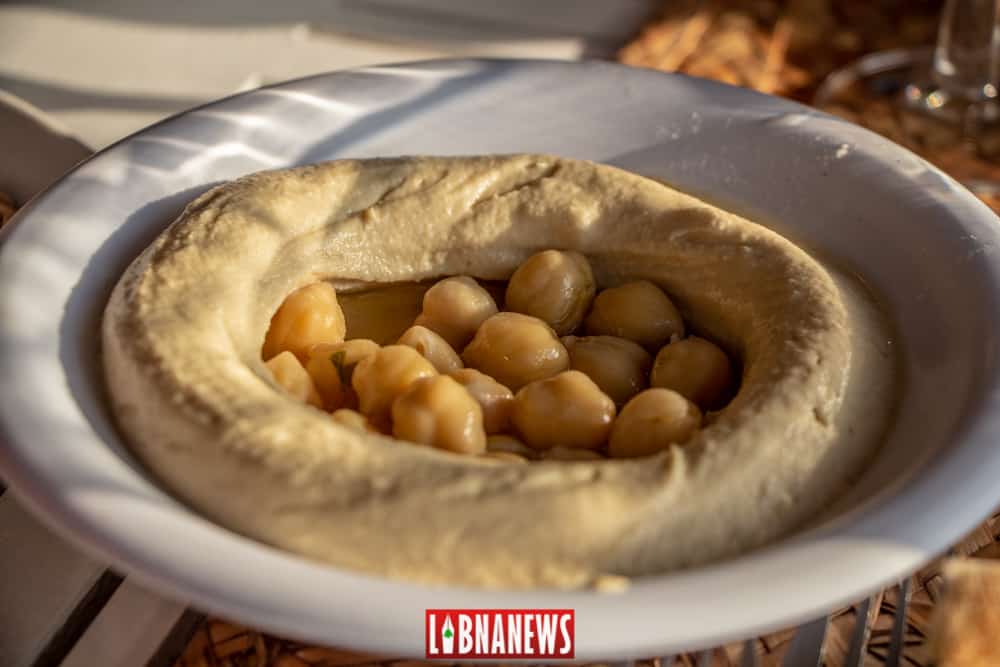 Un plant de Hommos Libanais. Crédit Photo: François el Bacha pour Libnanews.com. Tous droits réservés