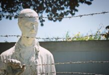 Photo par ElissaCapelleVaughn sur Pixabay