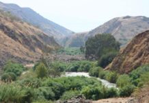 Liban/Jordanie: De l’eau contre de l’électricité La Vallée du Jourdain. Source Photo: Wikipedia