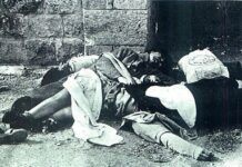 Le massacre de Damour, commis par les palestiniens en 1976