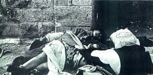 Le massacre de Damour, commis par les palestiniens en 1976