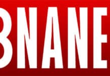 Logo Libnanews, le média citoyen du Liban