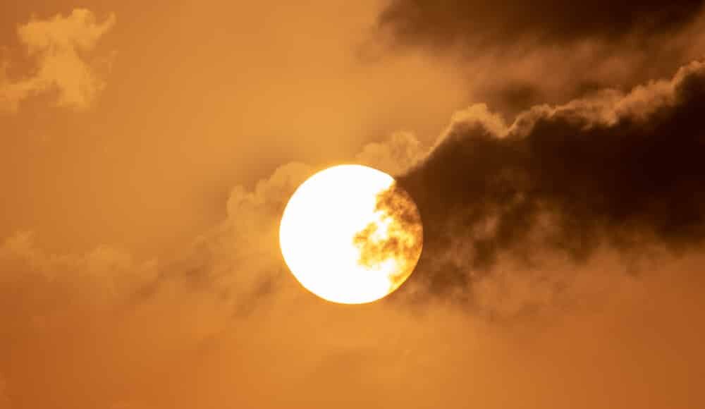 Photo credit: François el Bacha, all rights reserved. Visit my blog http://larabio.com