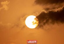 Crédit photo: François el Bacha, tous droits réservés. Visitez mon blog http://larabio.com