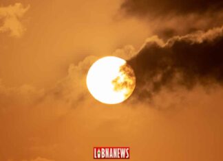 Photo credit: François el Bacha, all rights reserved. Visit my blog http://larabio.com