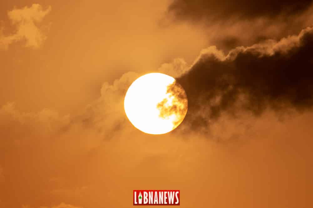 Crédit photo: François el Bacha, tous droits réservés. Visitez mon blog http://larabio.com