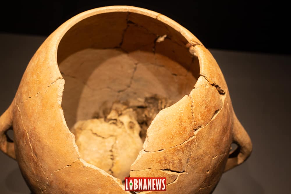 Aux origines de l’Humanité