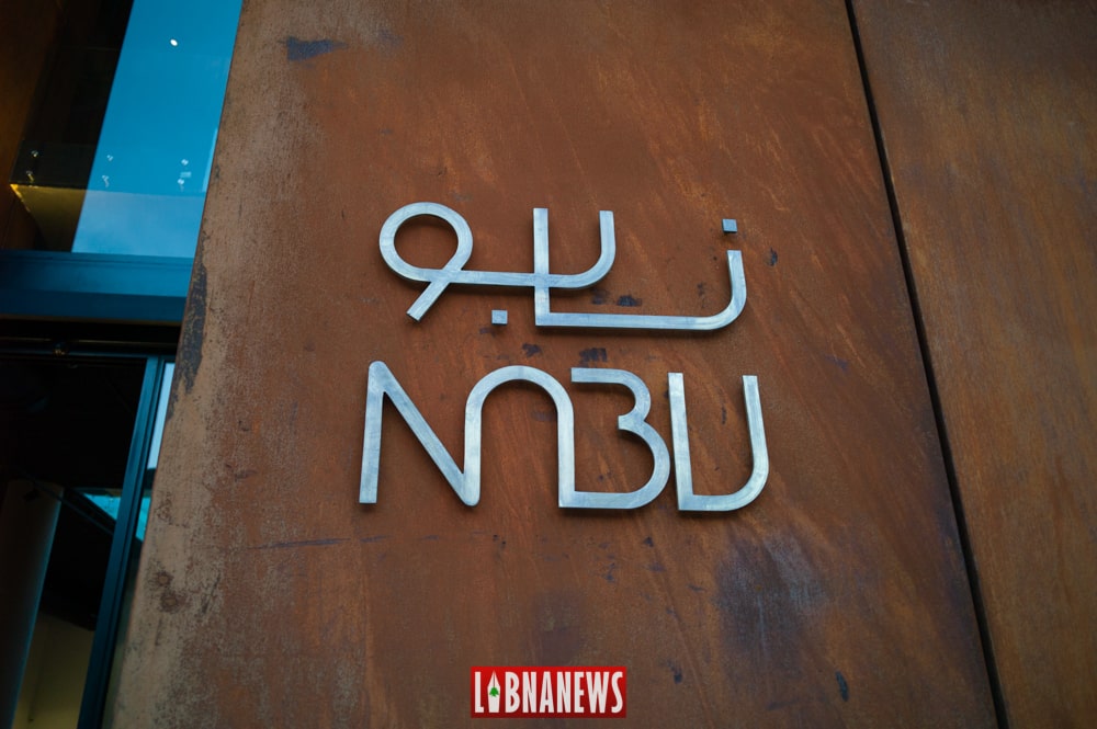 Libnanews