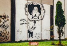 La frontière entre le Liban et Israël. Crédit photo: François el Bacha, tous droits réservés. Visitez mon blog http://larabio.com