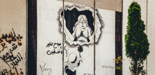 La frontière entre le Liban et Israël. Crédit photo: François el Bacha, tous droits réservés. Visitez mon blog http://larabio.com