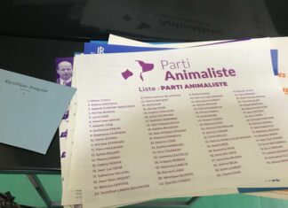 L’ambassade de France au Liban publie les résultats locaux des élections européennes L'ambassade de France au Liban publie les résultats locaux des élections européennes