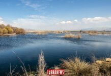 Jour international de l'eau: Enjeux et Perspectives au Liban