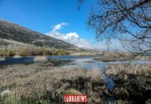 L'Office du Litani porte plainte et demande la fermeture de plusieurs entreprises accusées de polluer le fleuve