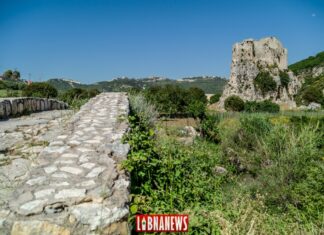 Mseilleh castle in Batroun. Photo credit: François el Bacha for Libnanews.com. All rights reserved