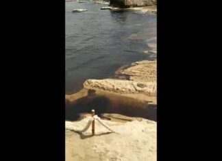 Une nappe de pétrole souille les plages du Sud Liban