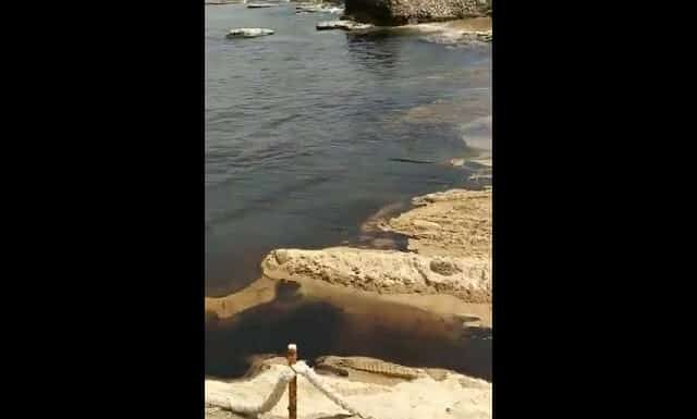 Une nappe de pétrole souille les plages du Sud Liban