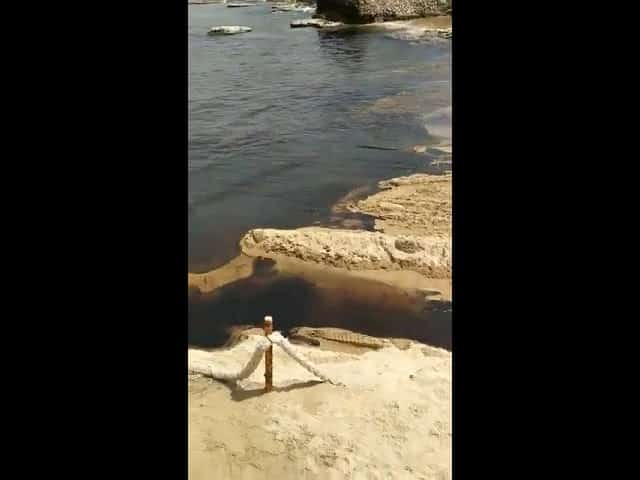 Une nappe de pétrole souille les plages du Sud Liban