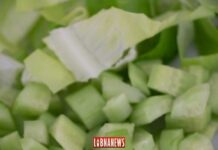Lebanon / Cuisine: Shawarma, a typical Lebanese dish