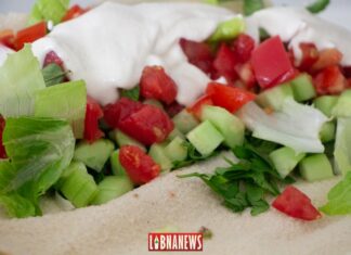 Le Shawarma, classé 3ème meilleur sandwich au Monde
