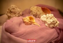Voici la nation qui refuse de mourir – Carine Chammas Voici la nation qui refuse de mourir - Carine Chammas