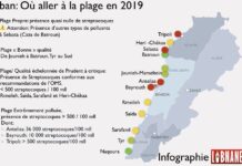 Infographie plage pollution liban