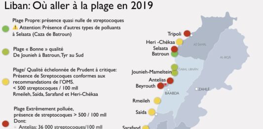 Infographie plage pollution liban