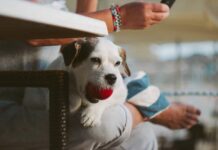 Étude : la pollution de l’air intérieur, un problème méconnu par un Français sur deux