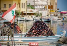 Between history and legend: the port of Tire in southern Lebanon