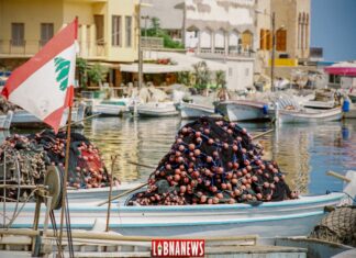 Between history and legend: the port of Tire in southern Lebanon