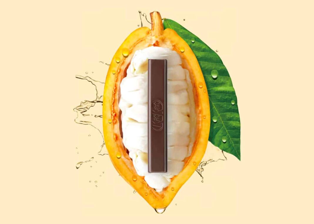 Nestlé invents the first 70% dark chocolate made entirely from the cocoa fruit and nothing else