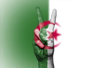 Algérie: Le coup d’état pacifique 1/2 - (Par Loukmane KHITER)