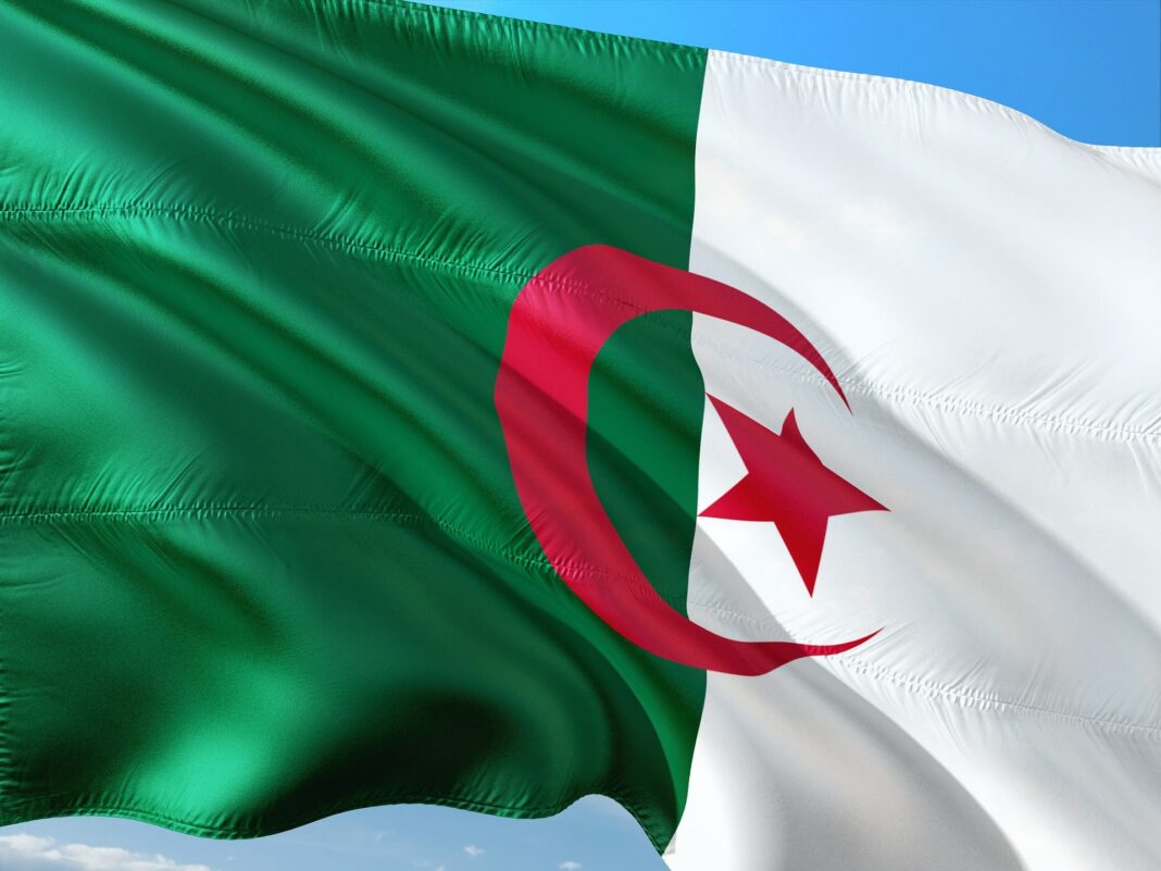 L’Algérie pays hôte du dernier sommet arabe, un tremplin à son accession au BRICS ?