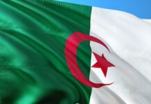 L’Algérie pays hôte du dernier sommet arabe, un tremplin à son accession au BRICS ?