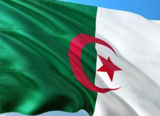 L’Algérie pays hôte du dernier sommet arabe, un tremplin à son accession au BRICS ?