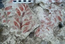 La plus ancienne fresque du Proche Orient découverte au Sud Liban Fresque sud Liban AUB Tubingen