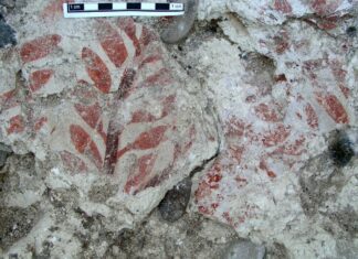 Fresque sud Liban AUB Tubingen