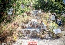 Dossier Libnanews Nahr Kalb 7