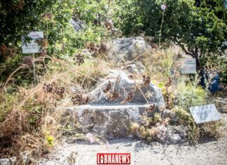 Dossier Libnanews Nahr Kalb 7