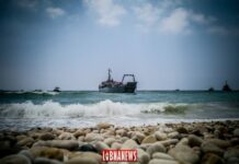 L'armée du liban intercepte 60 migrants à destination de Chypre
