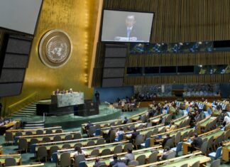 L'Assemblée Générale de l'ONU. Source ONU