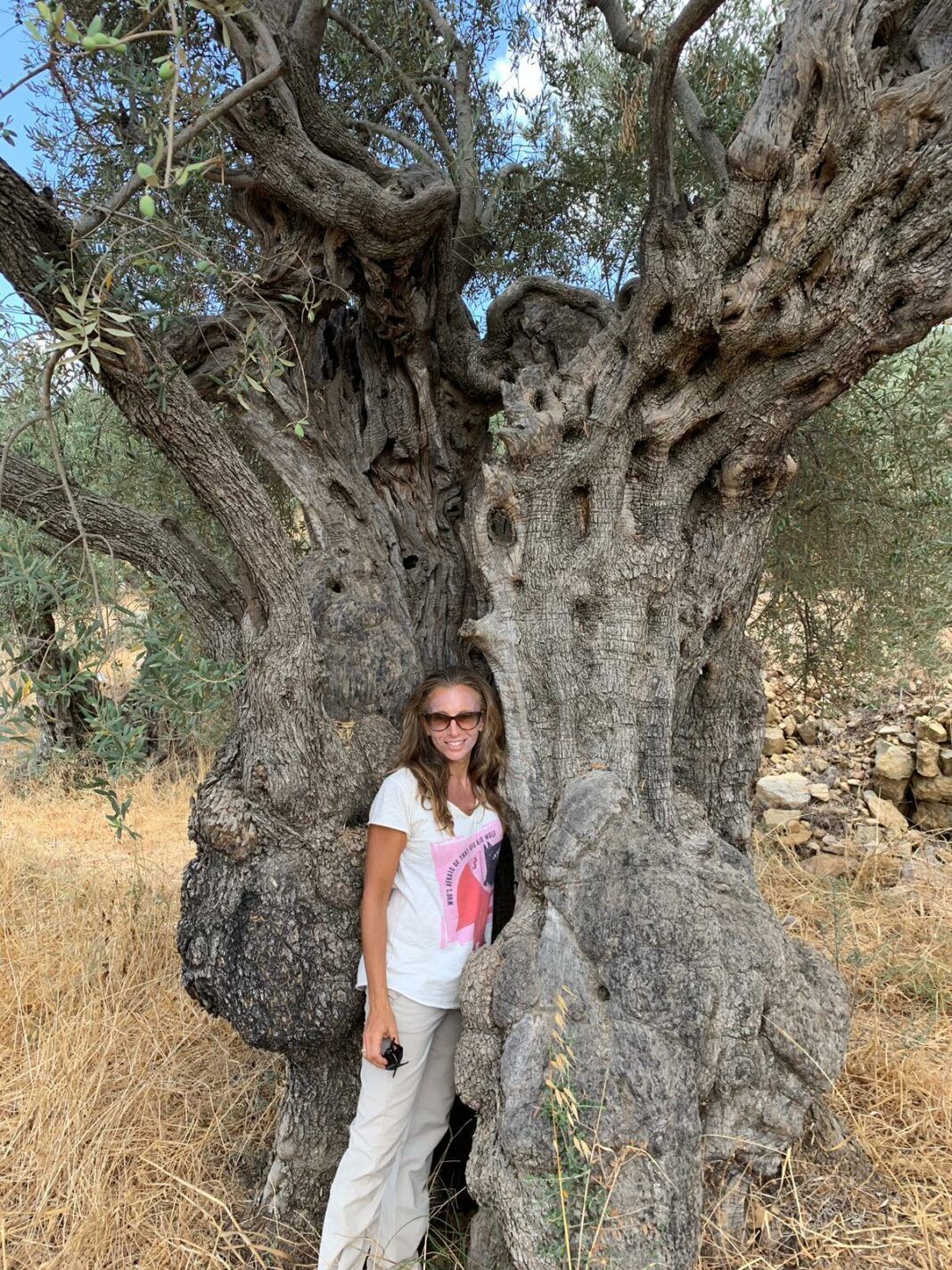 Quand les oiseaux de Septembre nous tirent vers le Sud